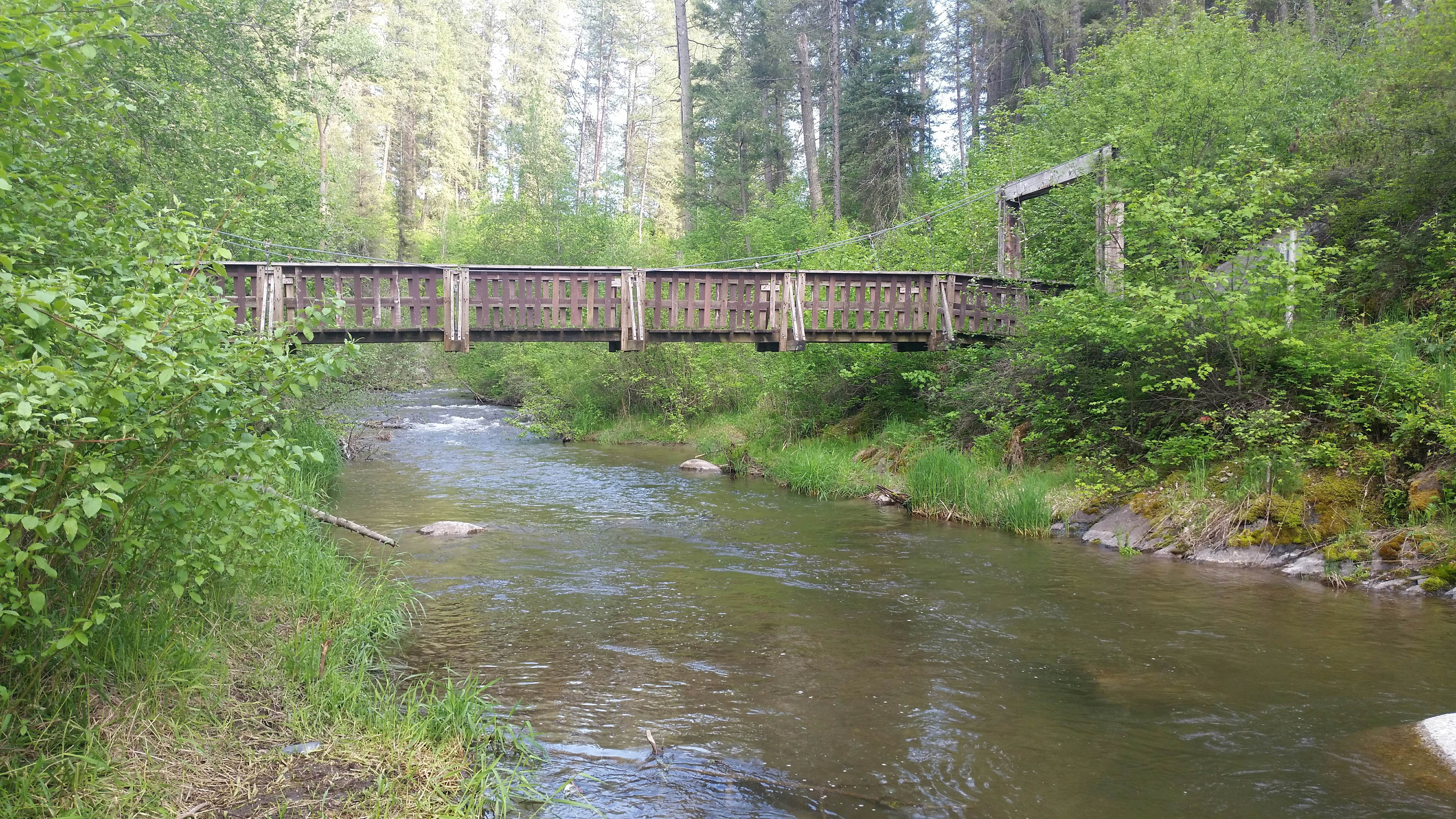 Walking trail to the base of the falls crosses this bridge