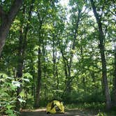 Review photo of Kentuck Campground — Ohiopyle State Park by Kim B., August 31, 2016