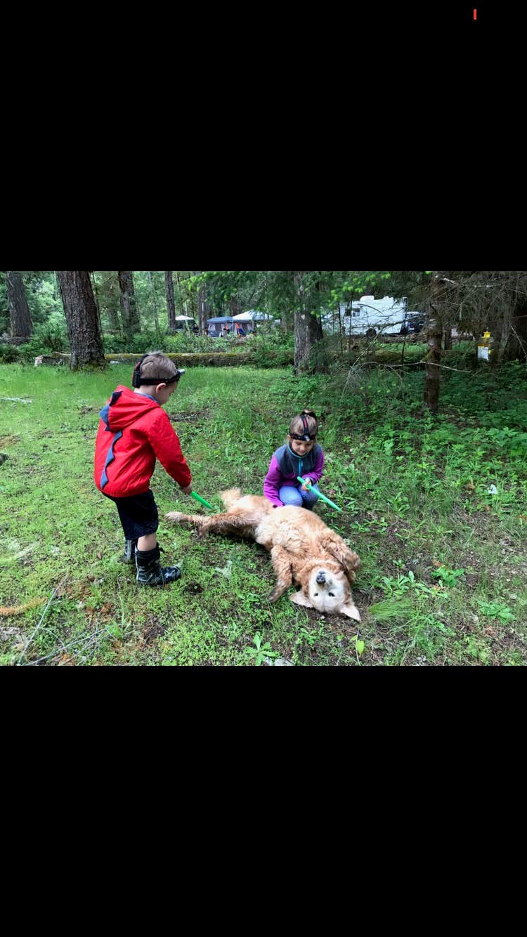 Shariah T.'s photo of camping with pets at La Wis Wis Campground near Mount Rainier National Park