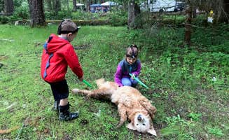 Shariah T.'s photo of camping with pets at La Wis Wis Campground near Packwood, WA