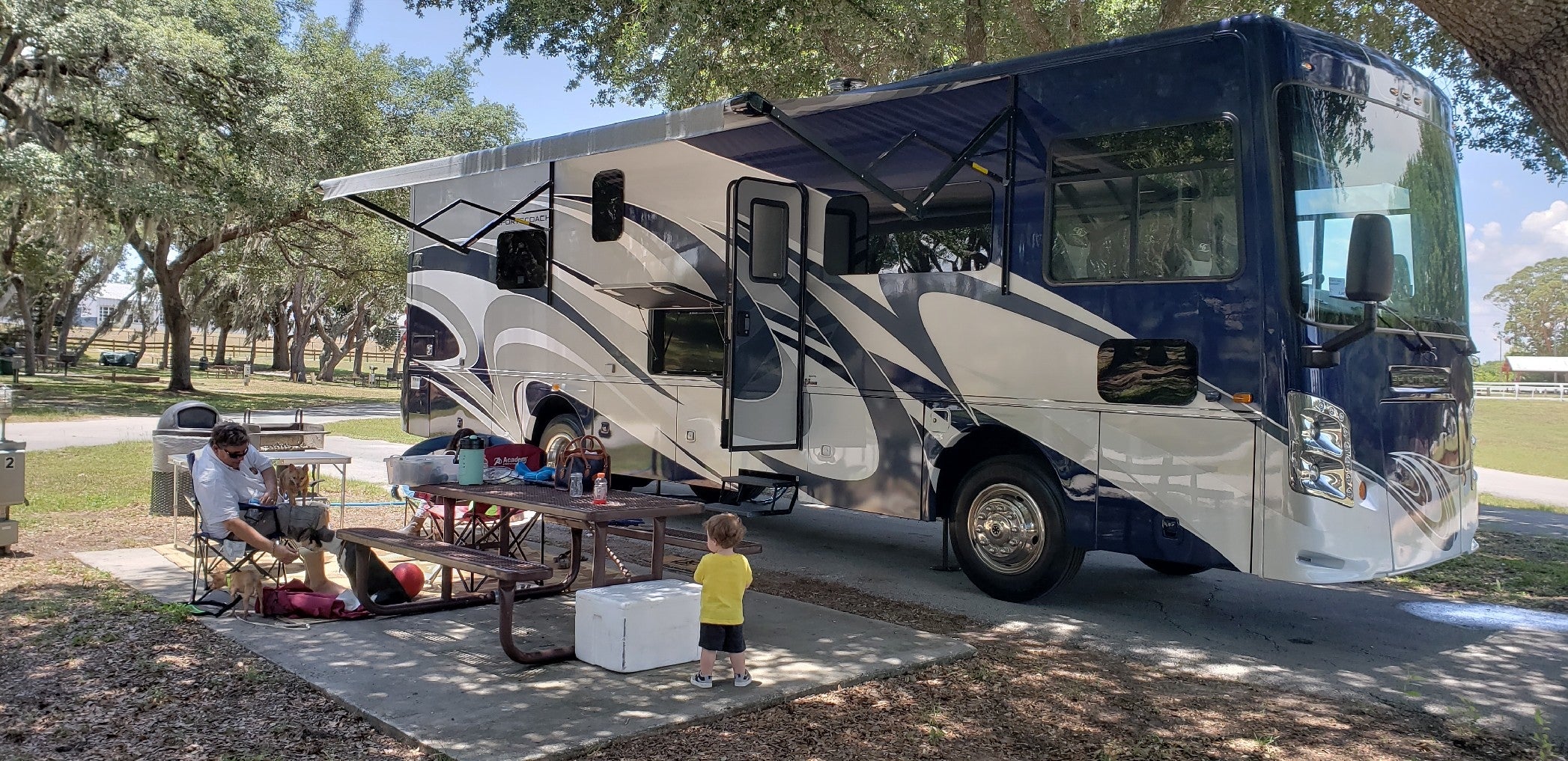 Camper submitted image from Clarcona Horse Park - 4
