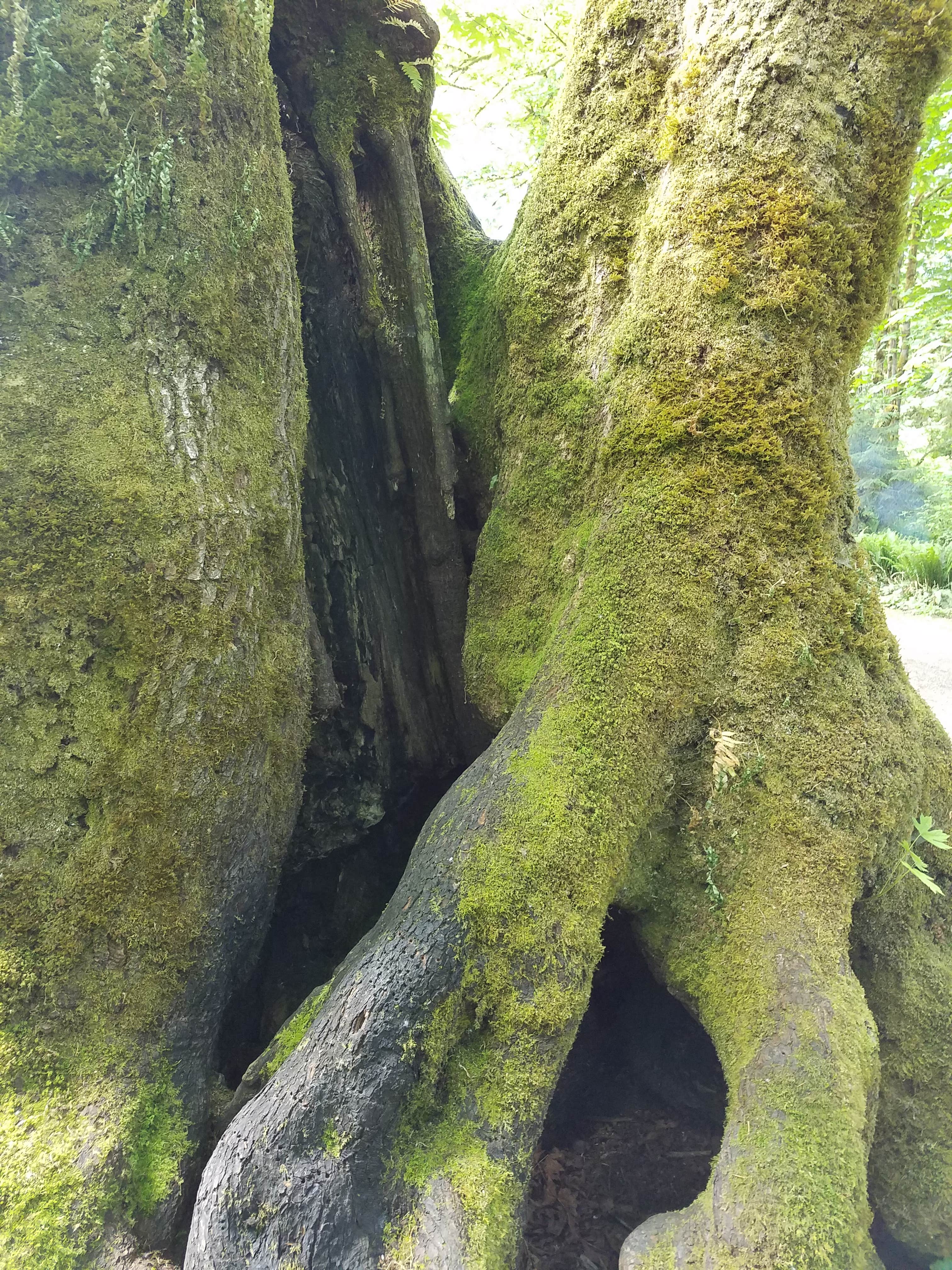 Camper submitted image from Schafer State Park - 2