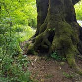 Review photo of Schafer State Park by Kari T., June 3, 2019