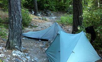 Rick P.'s photo of tent camping at Purple Point Campground — Lake Chelan National Recreation Area near Chelan, WA