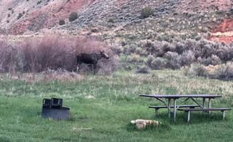 Connor B.'s photo of camping with a horse at Carmel Campground - Ashley National Forest near Manila, UT