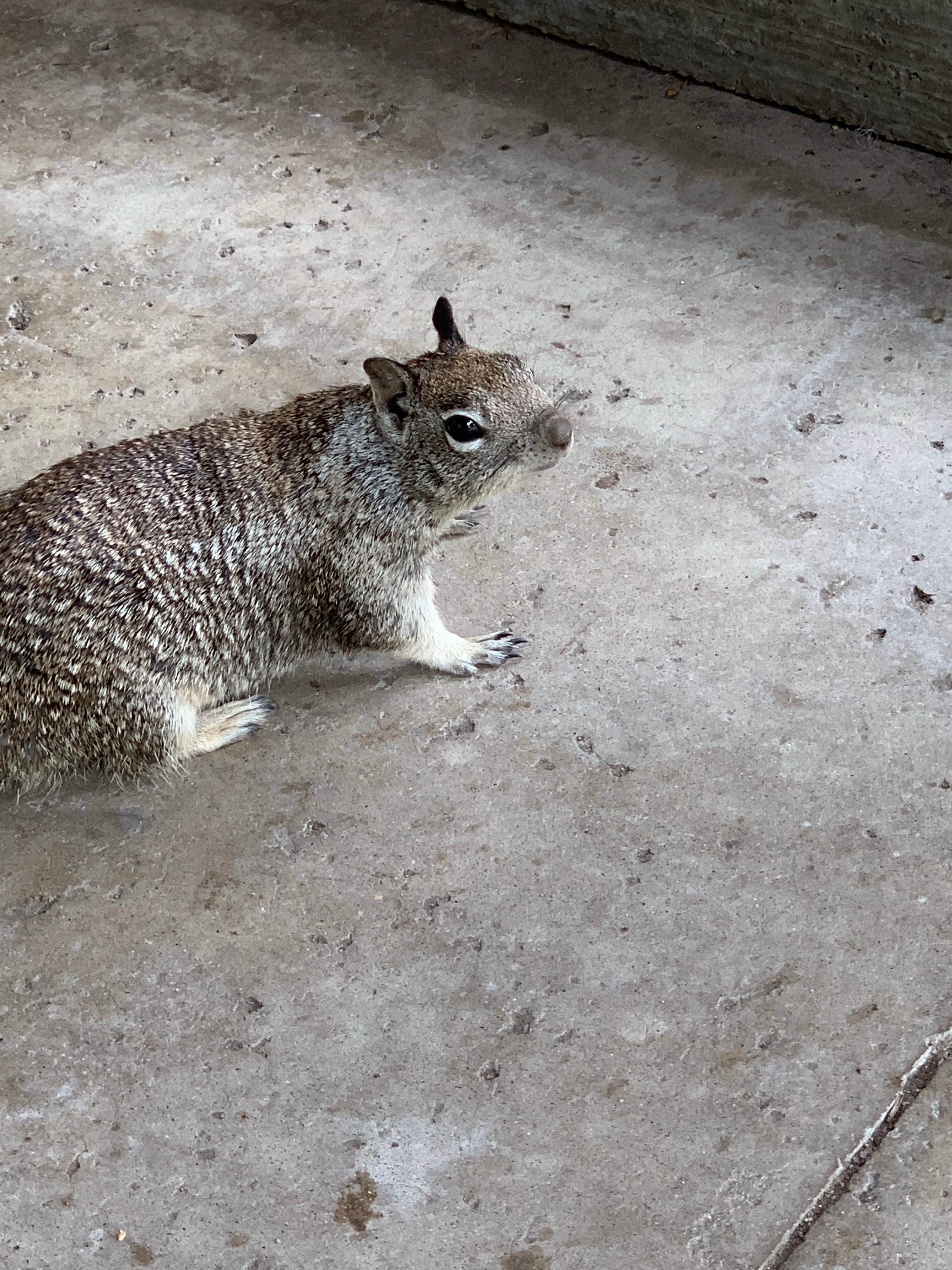 Camper-submitted photo at Dixon Lake Campground near Dana Point, CA