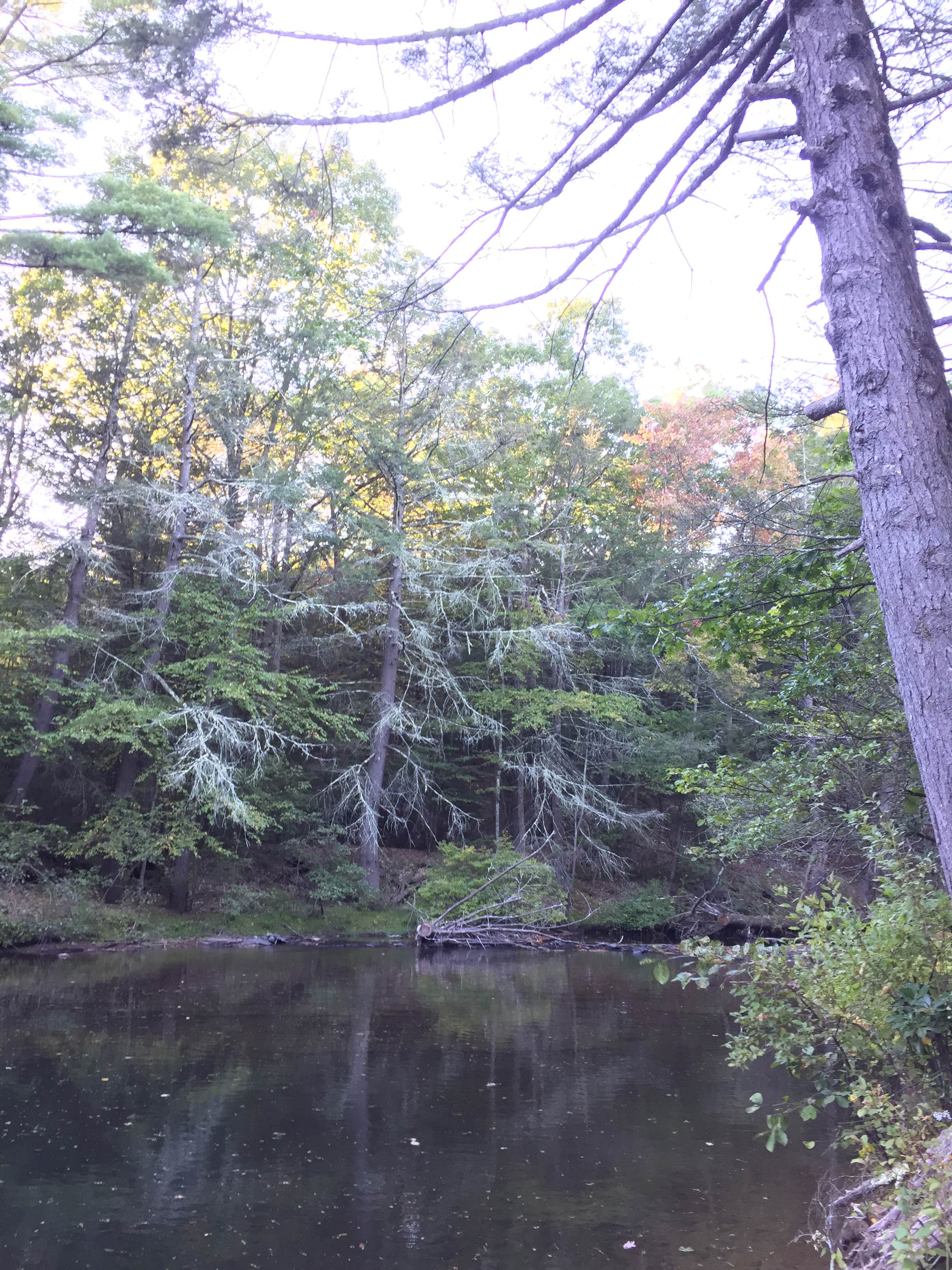 Camper-submitted photo at Rip Van Winkle Campgrounds near Ulster Park, NY