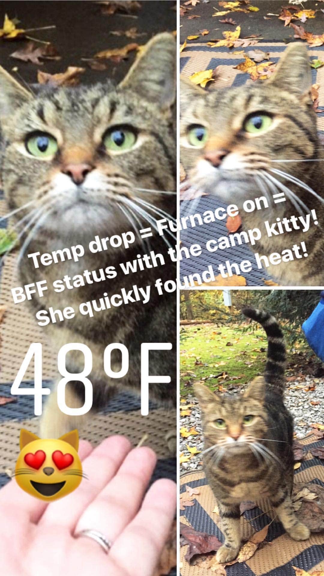 Camper-submitted photo at Travelers Rest-North Greenville KOA near Travelers Rest, SC