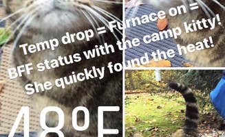 C O.'s photo of camping with pets at Travelers Rest-North Greenville KOA in South Carolina