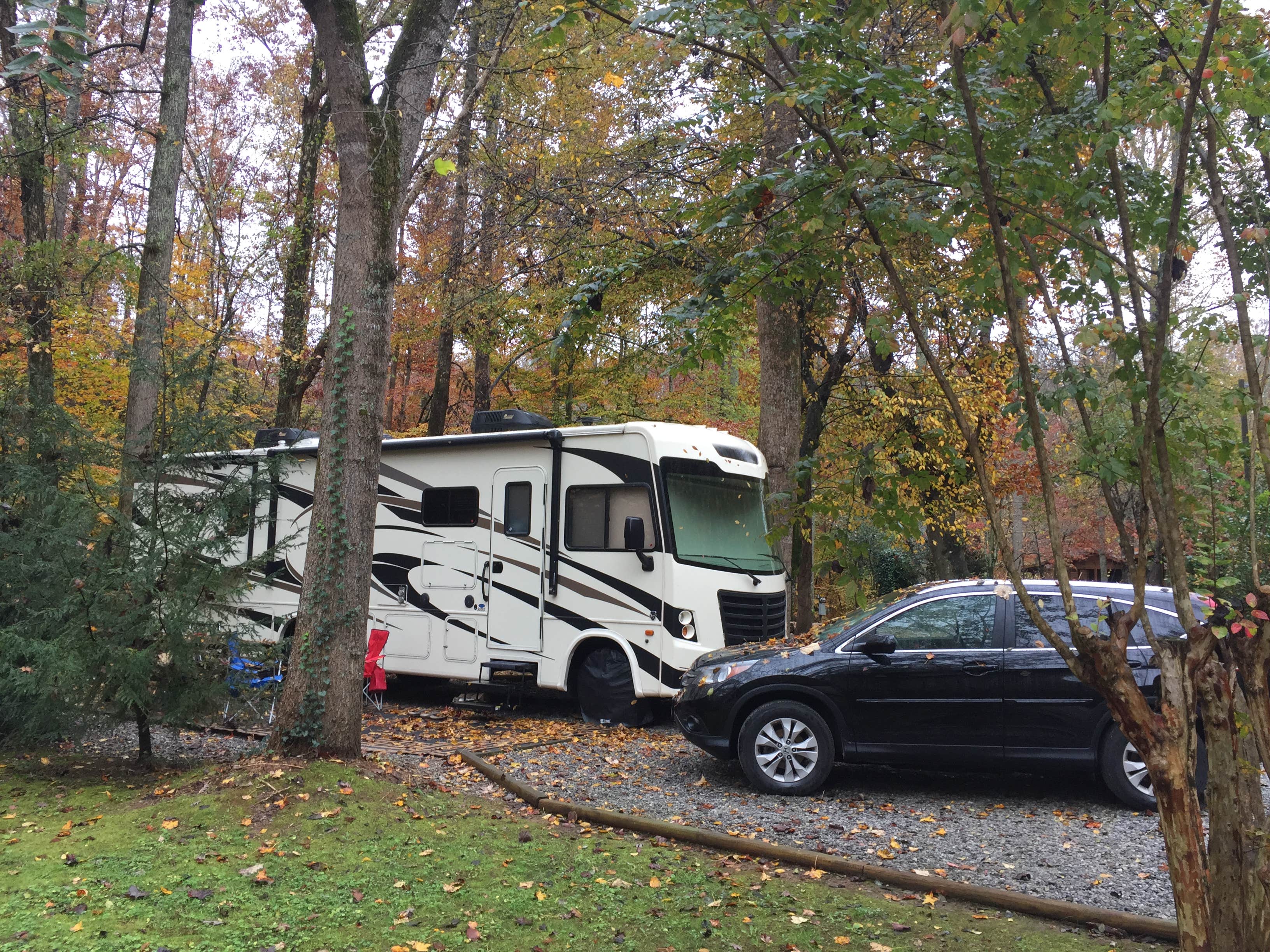Camper submitted image from Travelers Rest-North Greenville KOA - 4