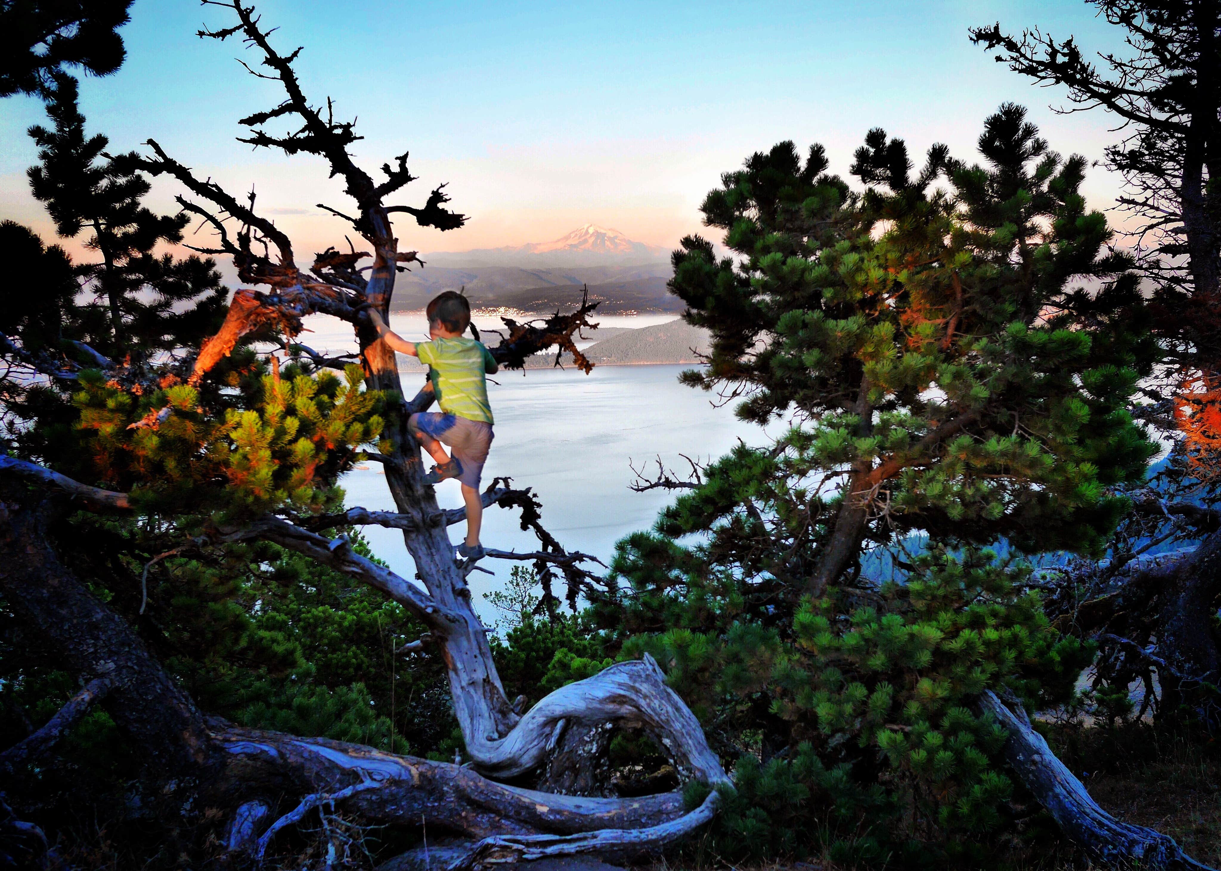 Camper submitted image from Southend Campground — Moran State Park - 1