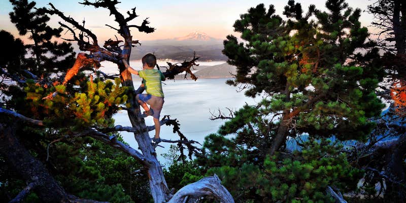 Camper submitted image from Southend Campground — Moran State Park