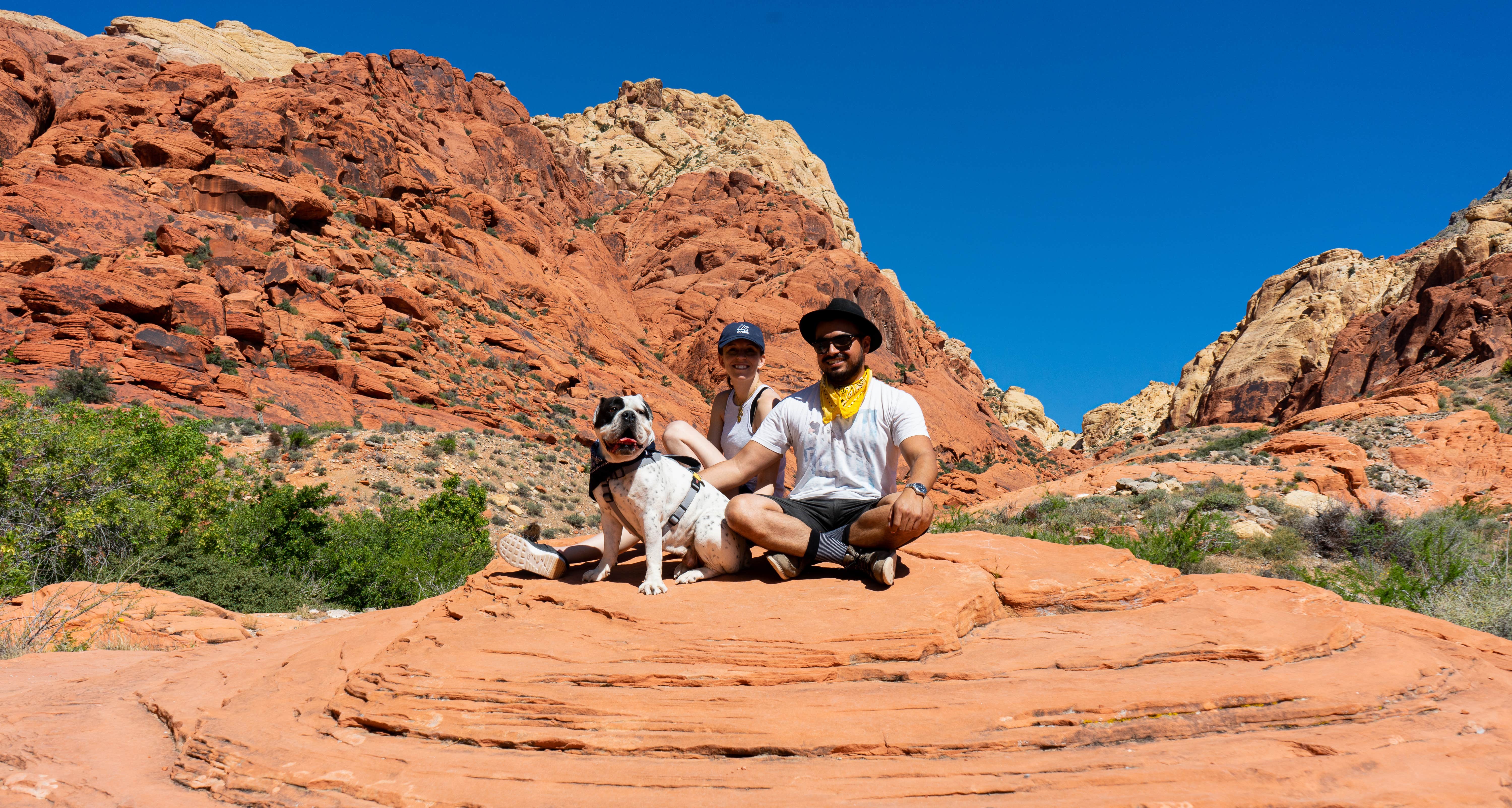 Gustavo O.'s photo of camping with pets at Red Rock Canyon Campground near North Las Vegas, NV