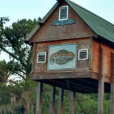 Review photo of Spirit of the Suwannee Music Park & Campground by Kelly W., August 31, 2016