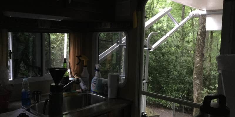 Camper submitted image from Julian Price Park Campground — Blue Ridge Parkway