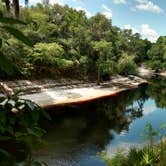 Review photo of Spirit of the Suwannee Music Park & Campground by Kelly W., August 31, 2016