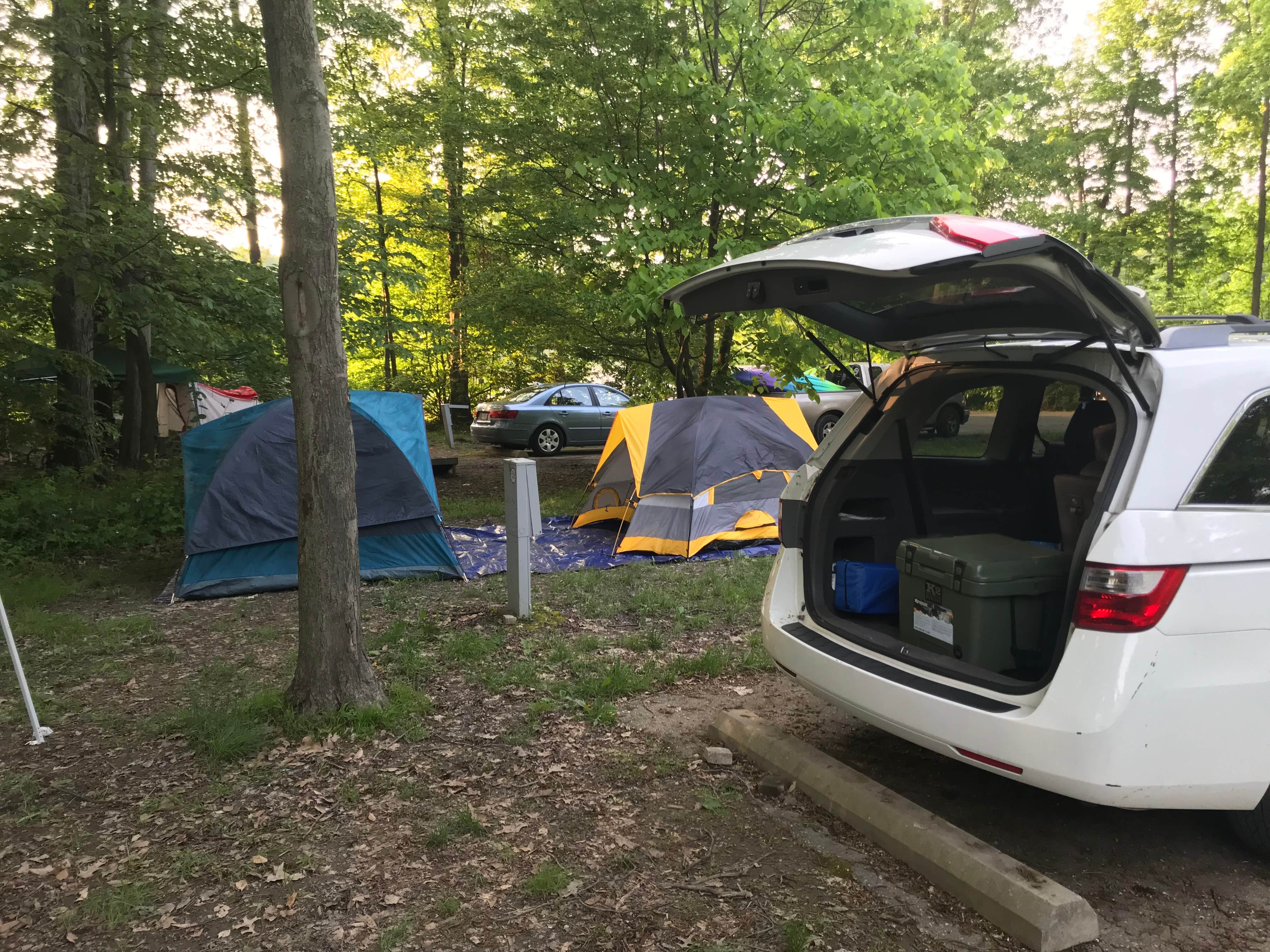 Andy F.'s photo at West Branch State Park Campground near Alliance, OH