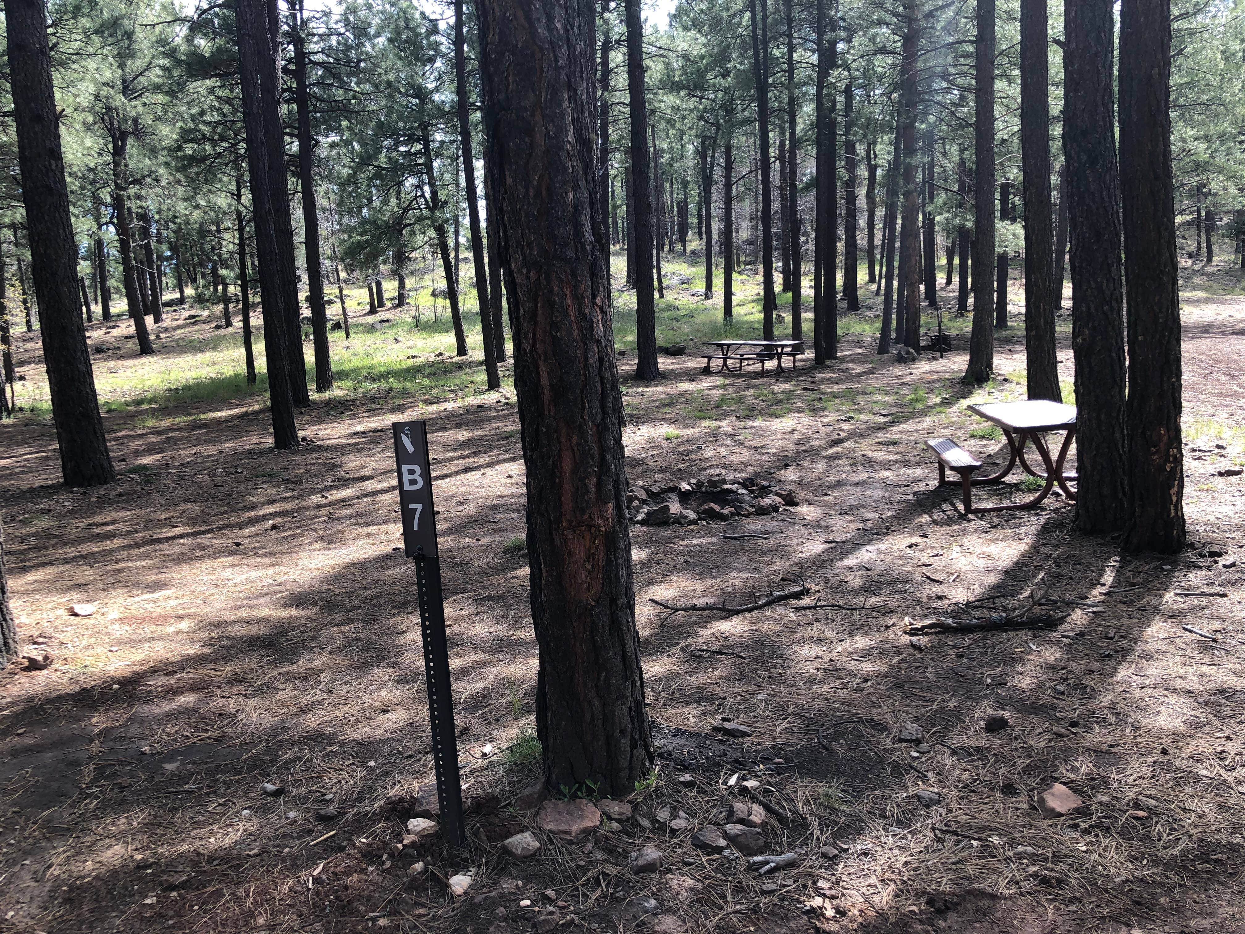 Camper submitted image from Fort Tuthill Luke AFB Recreation Area - 4