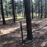 Review photo of Fort Tuthill Luke AFB Recreation Area by Deborah C., June 3, 2019