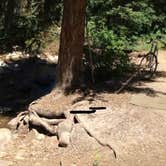 Review photo of Ledgefork - Jordanelle State Park by Derek E., June 3, 2019