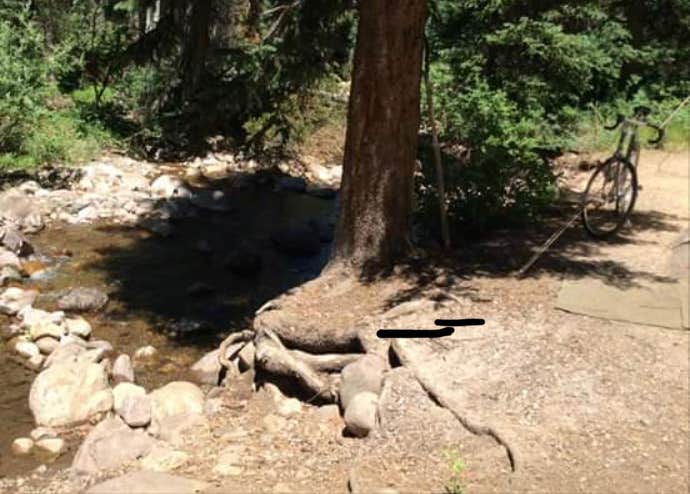 Camper submitted image from Ledgefork - Jordanelle State Park - 3