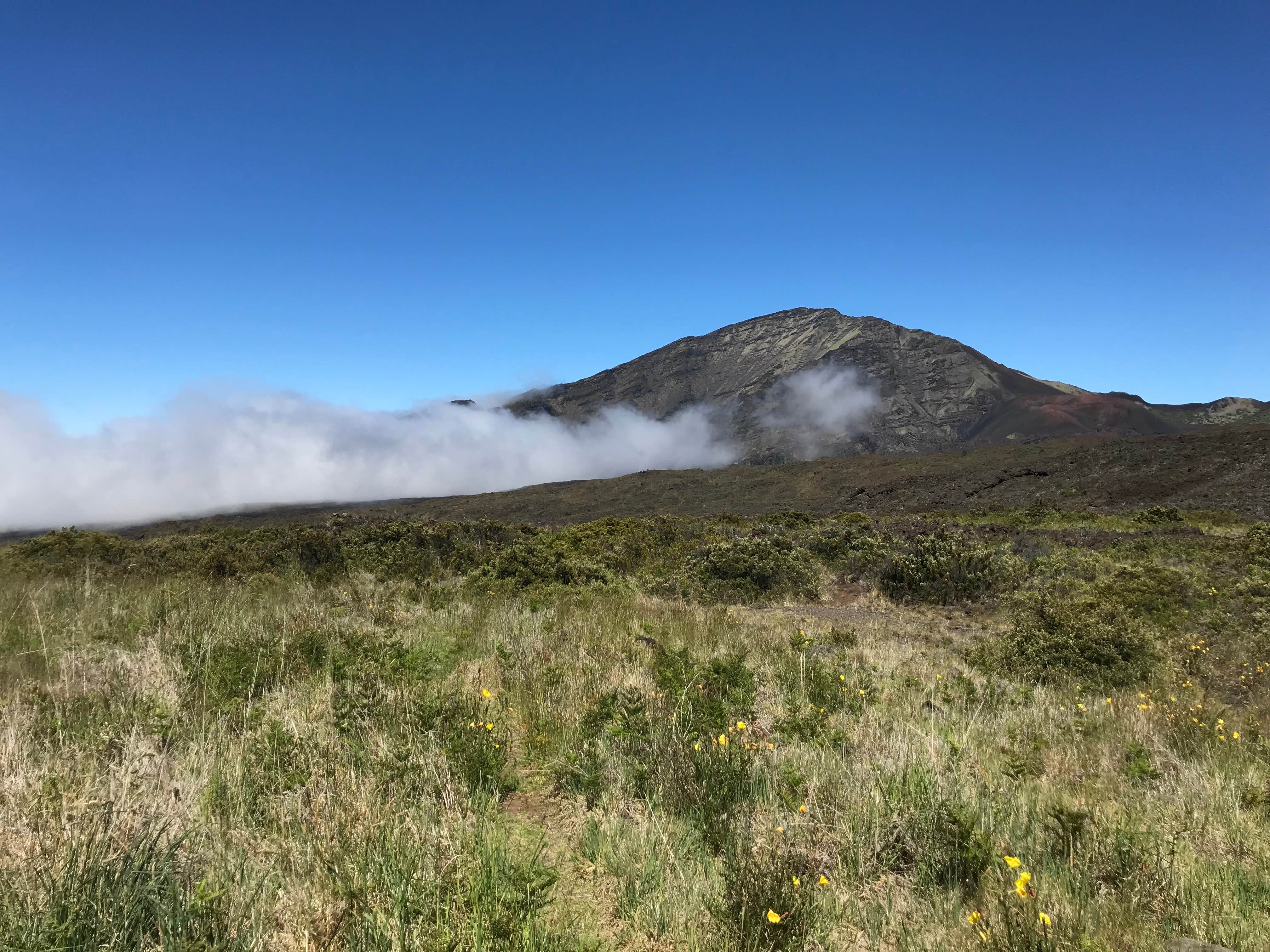 Camper-submitted photo at Holua Primitive Wilderness Campsite — Haleakalā National Park near Lahaina, HI