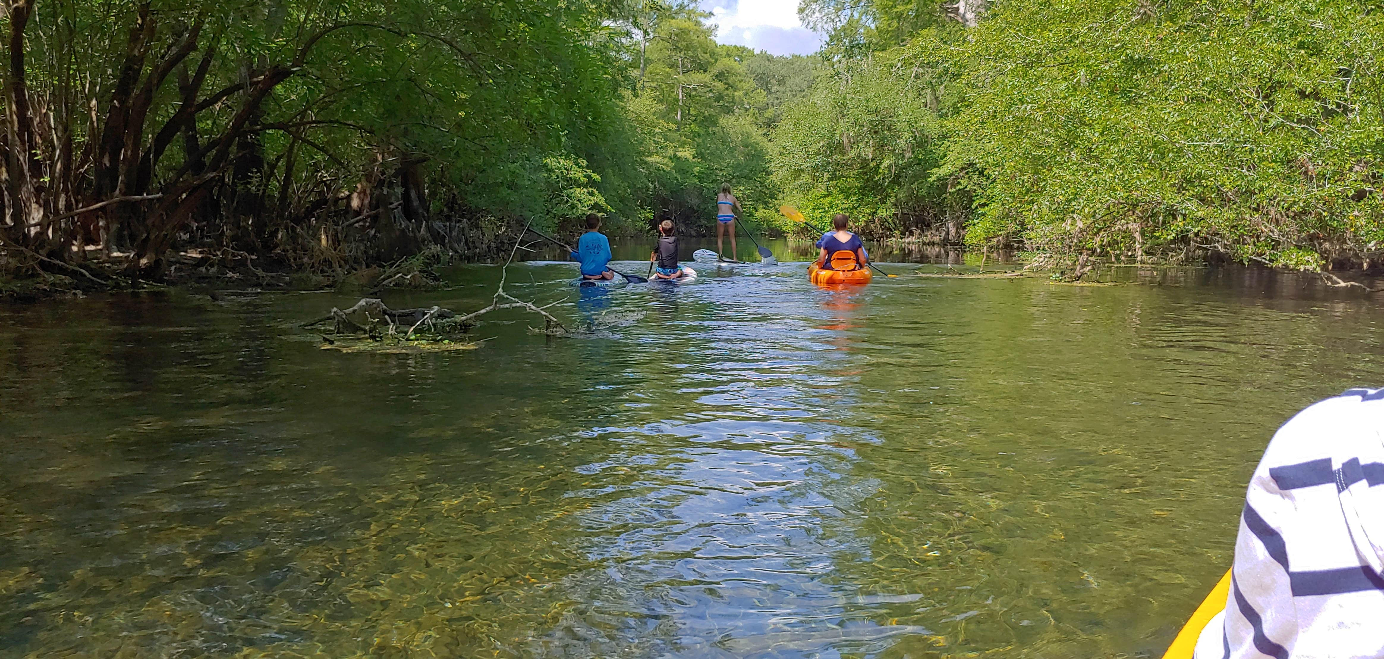 Camper-submitted photo at Otter Springs Park & Campground near Trenton, FL