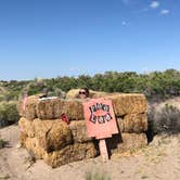 Review photo of Rabbit Hole Ranch by Hayley K., June 3, 2019