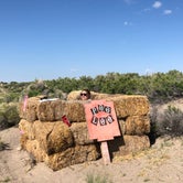 Review photo of Rabbit Hole Ranch  by Hayley K., June 3, 2019