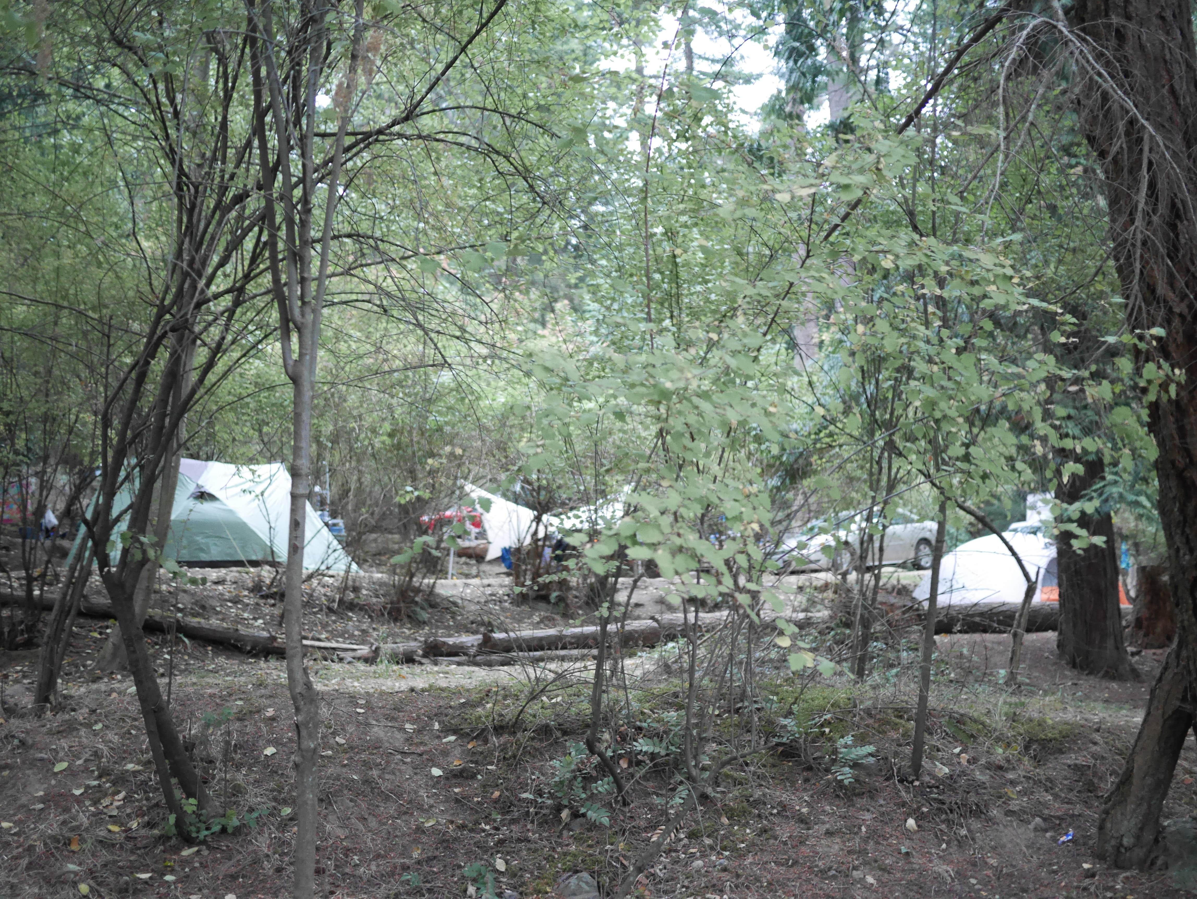 Beth E.'s photo at Midway Campground — Moran State Park near Blaine, WA