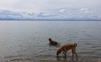 Brad B.'s photo of camping with pets at Willard Bay North Marina Campground near Hooper, UT