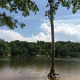 Review photo of Holly Point — Falls Lake State Recreation Area by William  F., June 3, 2019