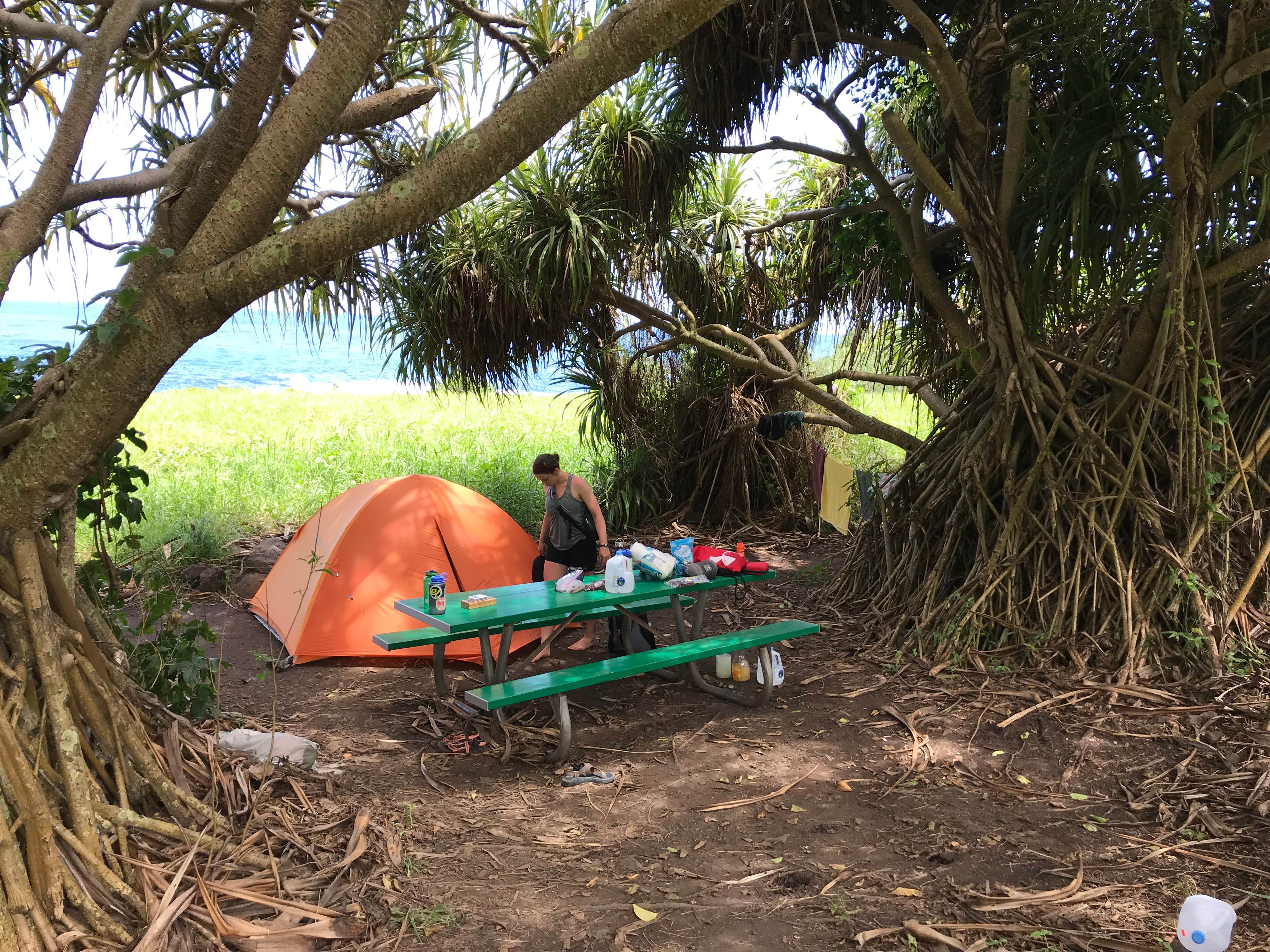 Bryce K.'s photo at Kīpahulu Campground — Haleakalā National Park near Lahaina, HI