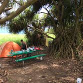 Review photo of Kīpahulu Campground — Haleakalā National Park by Bryce K., June 3, 2019