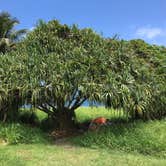 Review photo of Kīpahulu Campground — Haleakalā National Park by Bryce K., June 3, 2019