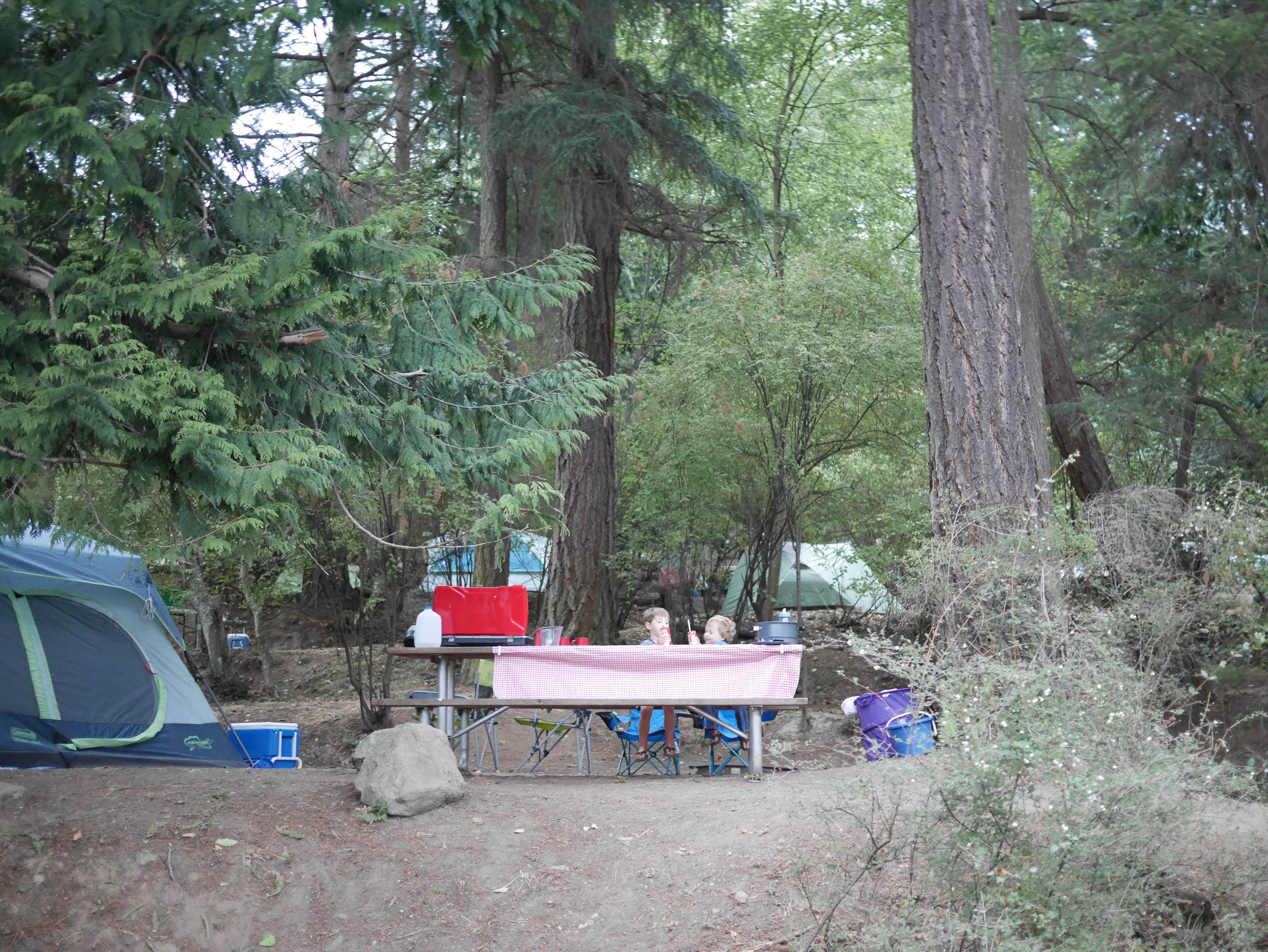 Camper submitted image from Midway Campground — Moran State Park - 3