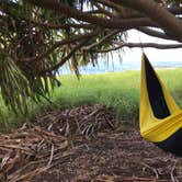 Review photo of Kīpahulu Campground — Haleakalā National Park by Bryce K., June 3, 2019