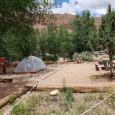 Review photo of Watchman Campground — Zion National Park by Brittany S., June 3, 2019