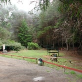 Review photo of Nāmakanipaio Campground — Hawai'i Volcanoes National Park by Leah P., August 31, 2016