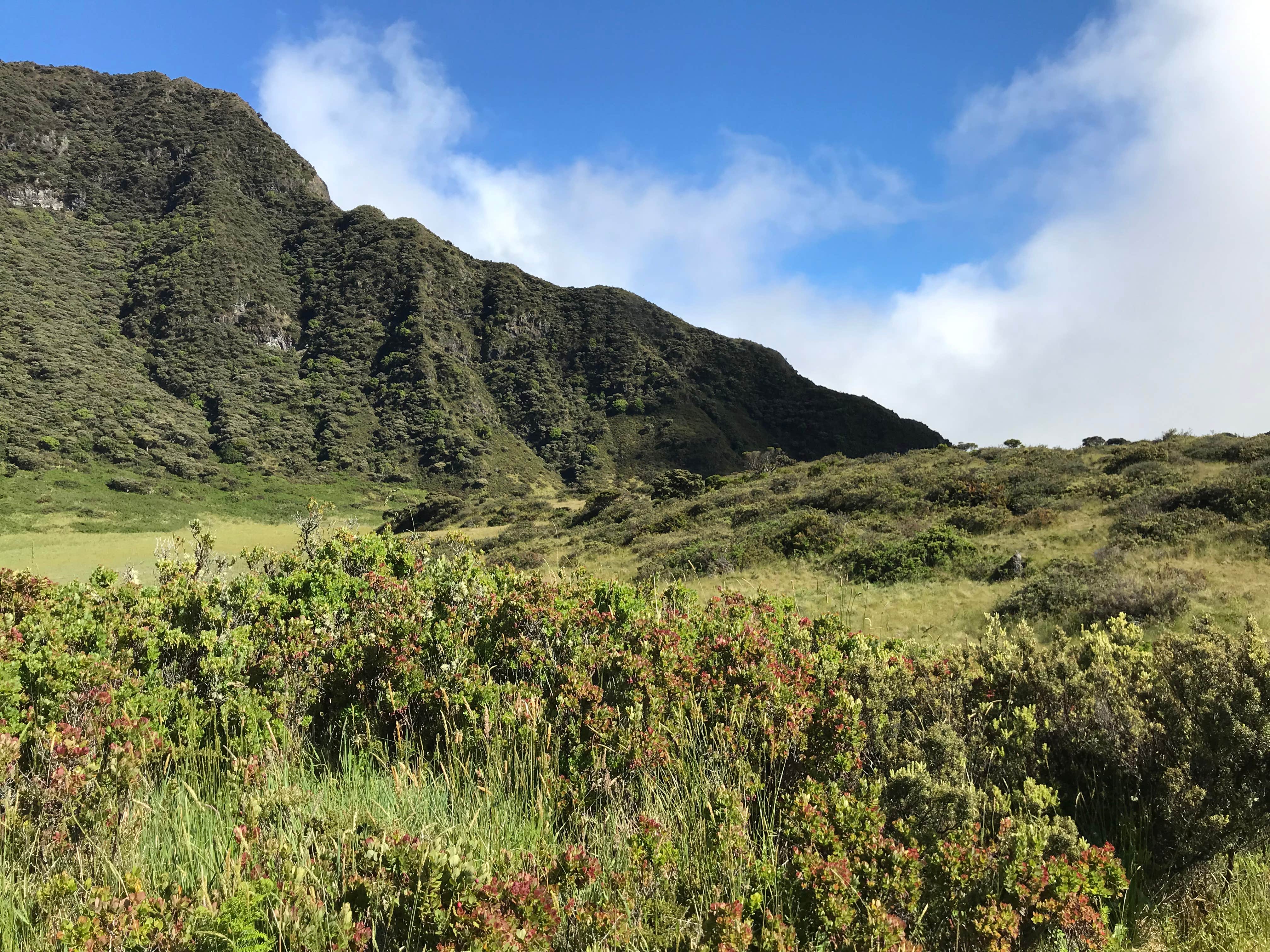 Camper-submitted photo at Paliku Backcountry Campsite — Haleakalā National Park near Haleakala National Park