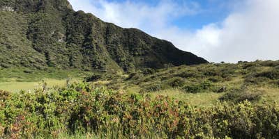 Nature
