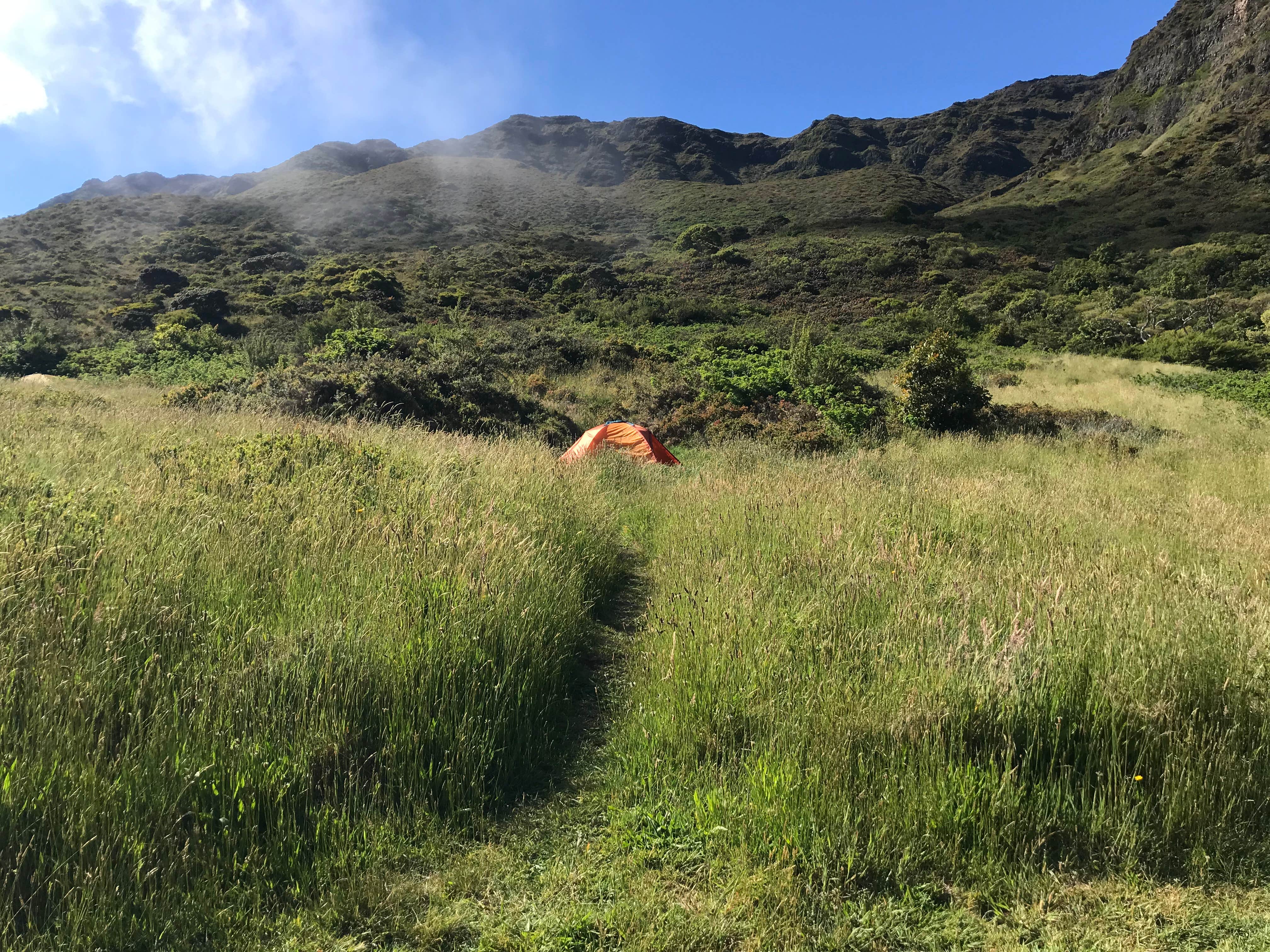 Camper-submitted photo at Paliku Backcountry Campsite — Haleakalā National Park near Haleakala National Park