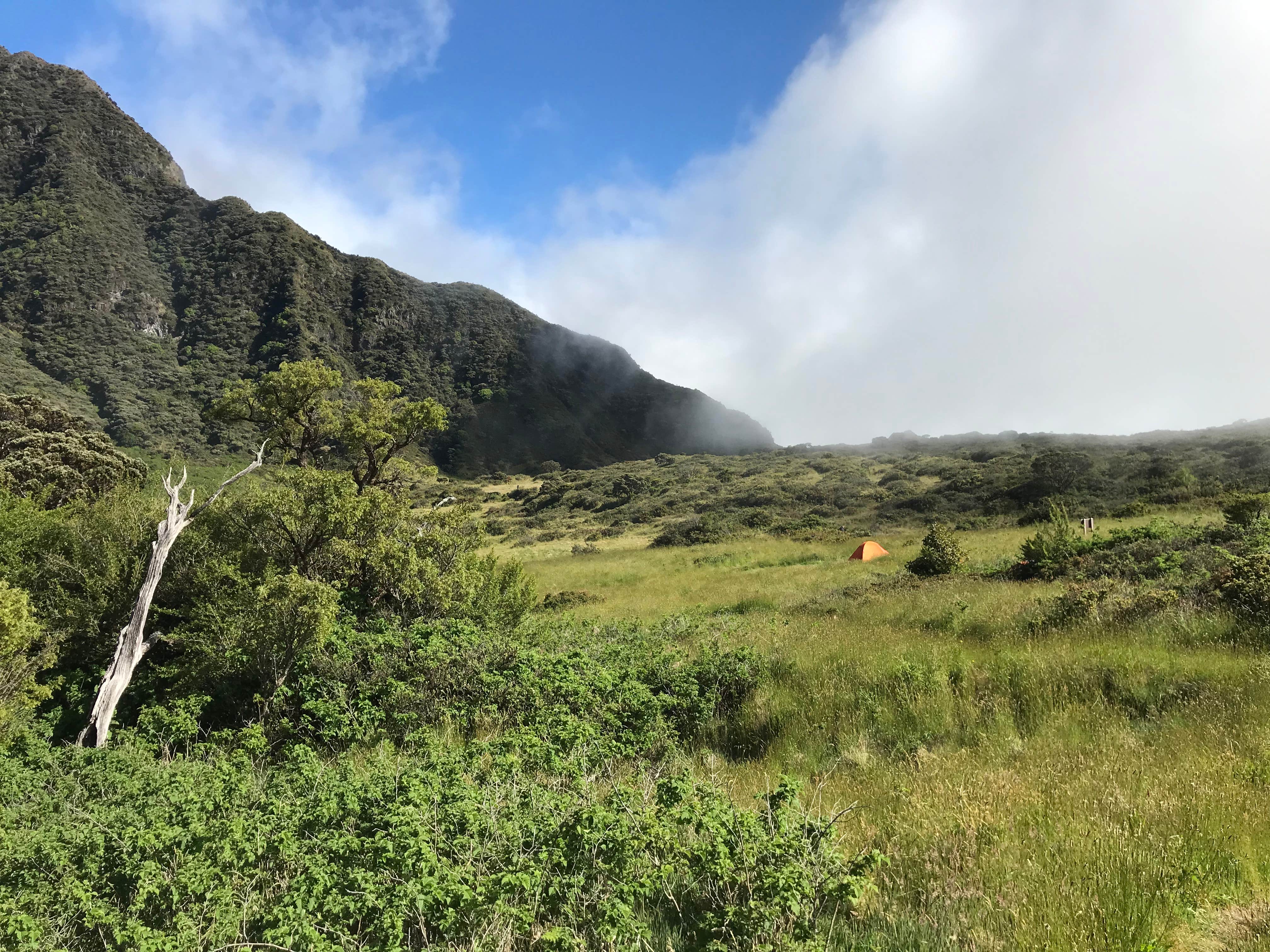 Camper-submitted photo at Paliku Backcountry Campsite — Haleakalā National Park near Haleakala National Park