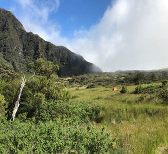 Camper-submitted photo from Paliku Backcountry Campsite — Haleakalā National Park