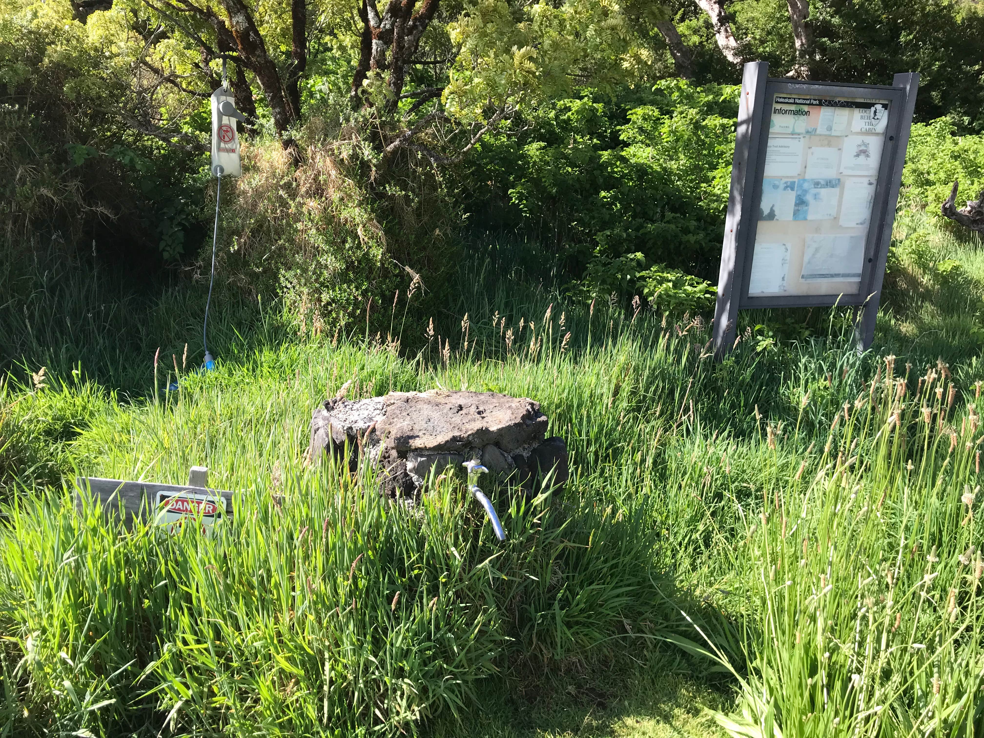 Camping near Wilderness Cabins — Haleakalā National Park: Paliku Backcountry Campsite — Haleakalā National Park, Haleakala National Park, Hawaii