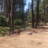 Review photo of Verde Glen Campground by Mike B., August 31, 2016