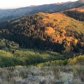 Review photo of Millcreek Canyon Dispersed Camping by Derek E., June 3, 2019