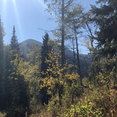 Review photo of Millcreek Canyon Dispersed Camping by Derek E., June 3, 2019