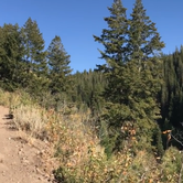 Review photo of Millcreek Canyon Dispersed Camping by Derek E., June 3, 2019