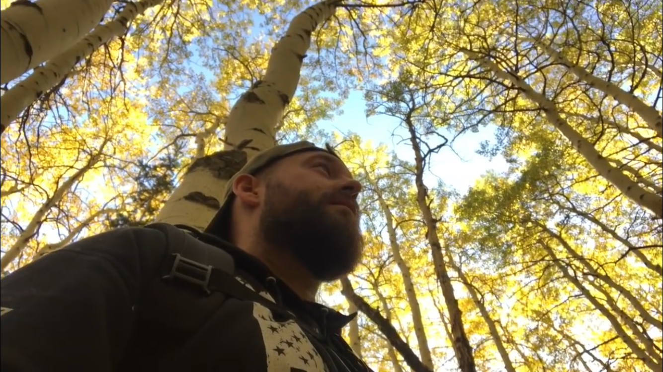 Camper-submitted photo at Millcreek Canyon Dispersed Camping near Murray, UT